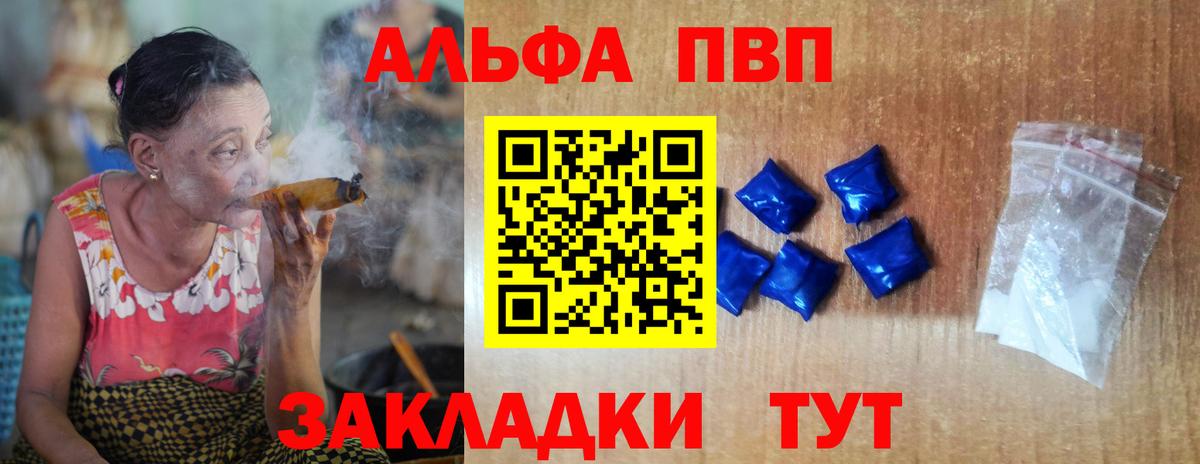 Alfa_PVP СК Камышин