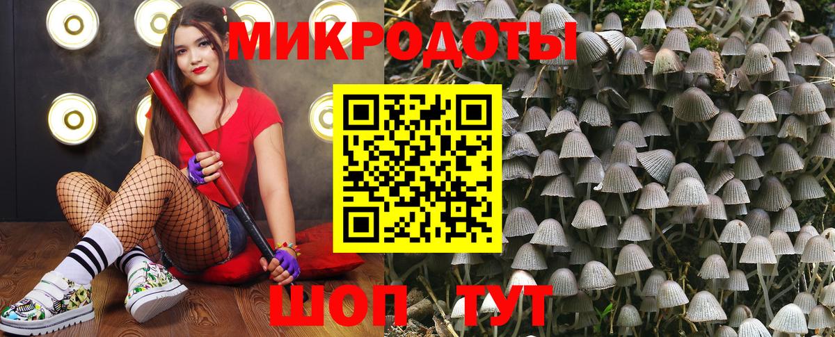 Псилоцибиновые грибы прущие грибы  Камышин 