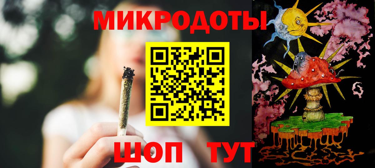 Галлюциногенные грибы Psilocybine cubensis Камышин