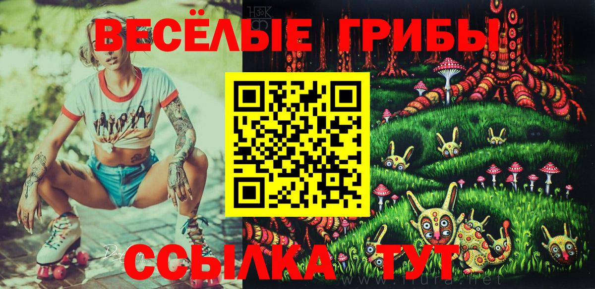 Камышин  Псилоцибиновые грибы мицелий  Вход с VPN 