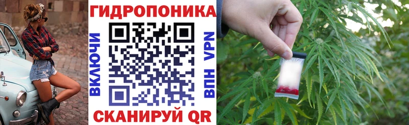 Бошки Шишки планчик  Камышин 